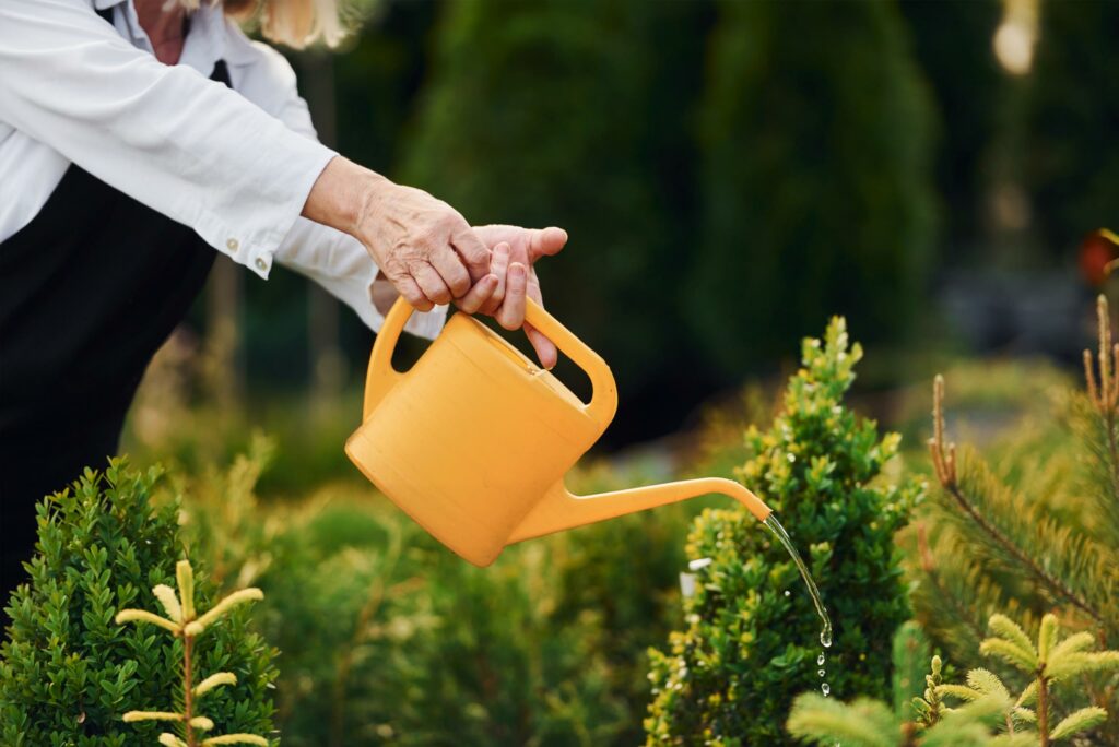 Balancing Act: How Hobbies Shape Entrepreneurial Success